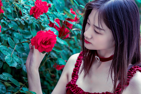 石破茂支持率大跌 创上台以来最低值